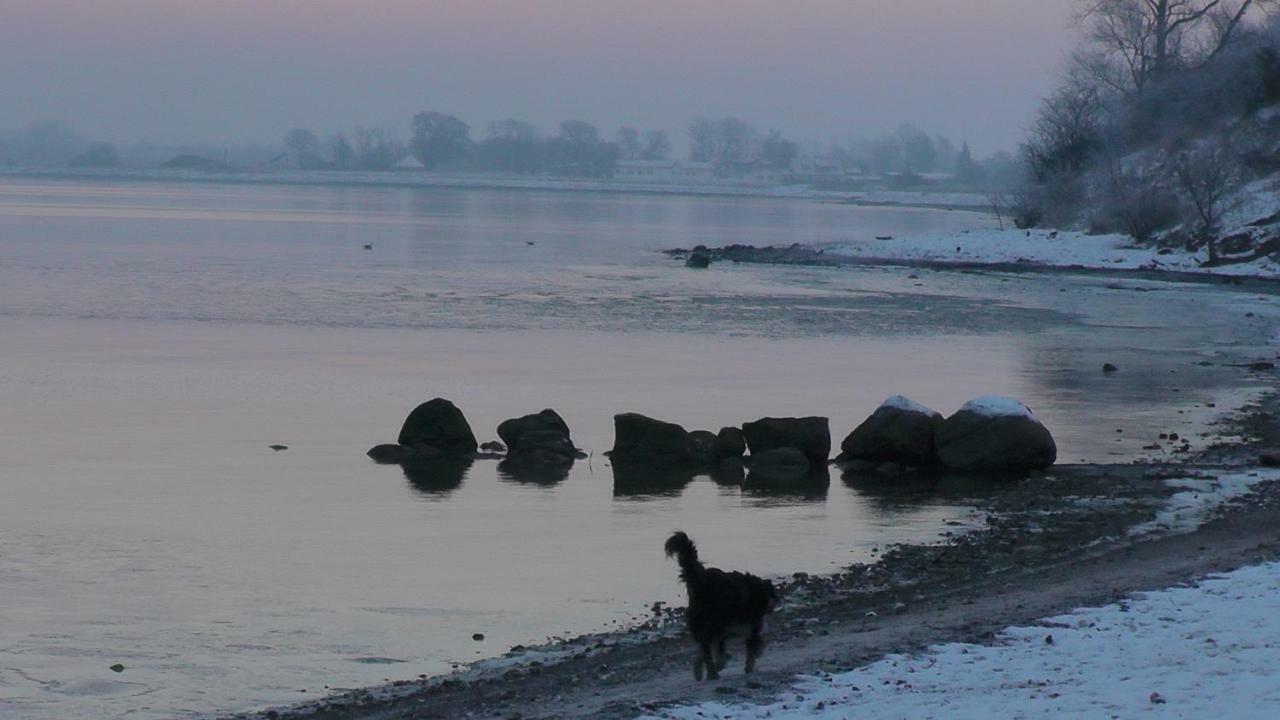 Zirkuswagen Nahe Ostsee Und Schlei Wagersrott